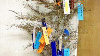 Thumbnail of post image 049